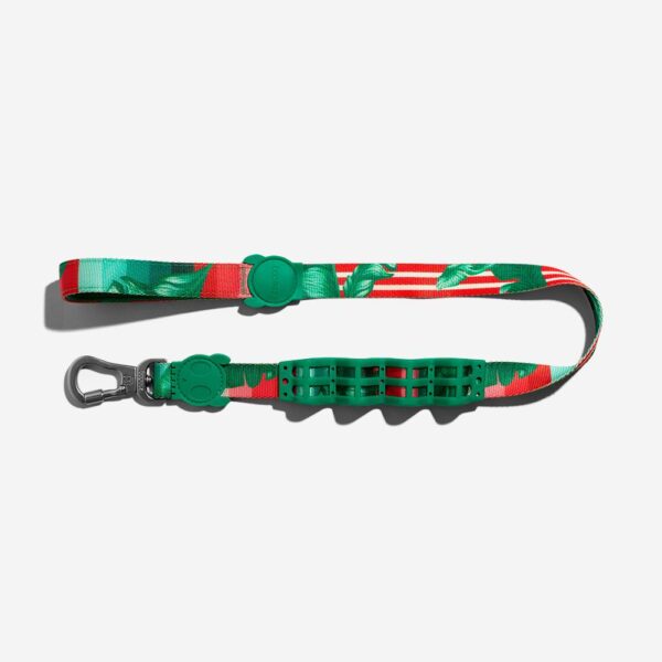 <strong>Zeedog</strong> Ruff Leash Bali, Correa Anti-Tirones de Polyester Suave de Alta Resistencia para Perros, Tallas: S, L - Imagen 5