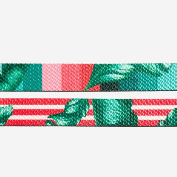 <strong>Zeedog</strong> Ruff Leash Bali, Correa Anti-Tirones de Polyester Suave de Alta Resistencia para Perros, Tallas: S, L - Imagen 6