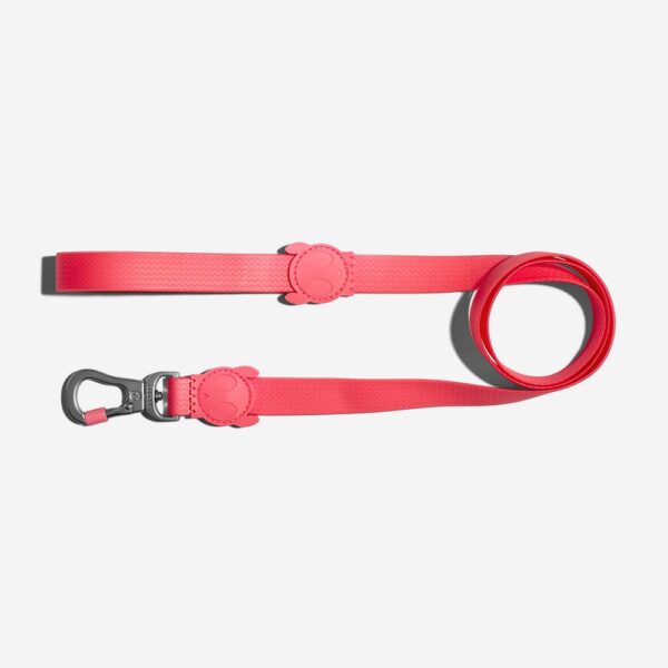 <strong>Zeedog</strong> Neopro Bubblegum, Correa de Polyester Suave de Alta Resistencia, Tallas: S, L