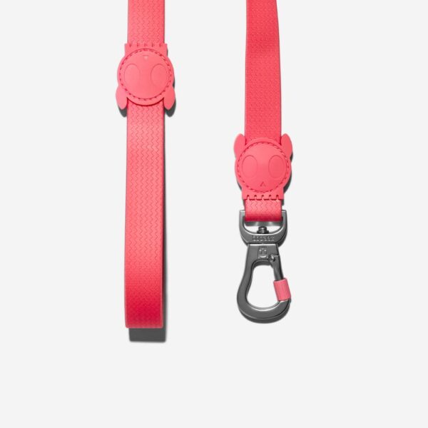 <strong>Zeedog</strong> Neopro Bubblegum, Correa de Polyester Suave de Alta Resistencia, Tallas: S, L - Imagen 5