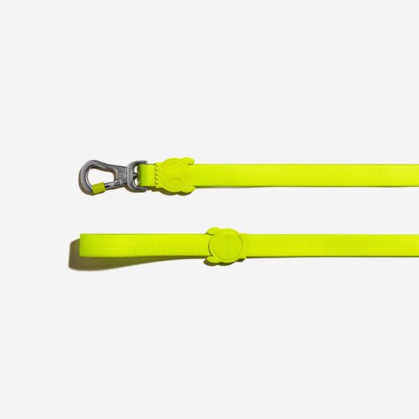 <strong>Zeedog</strong> Neopro Lime, Correa de Polyester Suave de Alta Resistencia, Tallas: S, L - Imagen 3