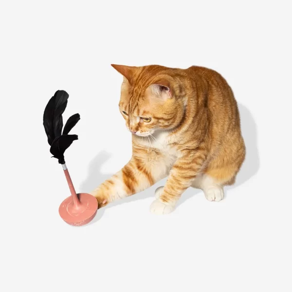 Zee.Cat TEASER CITRUS - Imagen 3