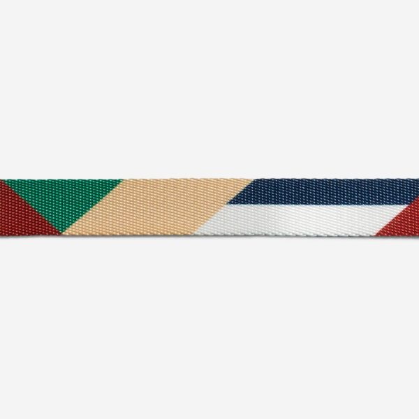 <strong>Zee.Dog</strong> Pacco, Collar Ajustable de Polyester para Perros, Tallas: XS, S, M, L - Imagen 4