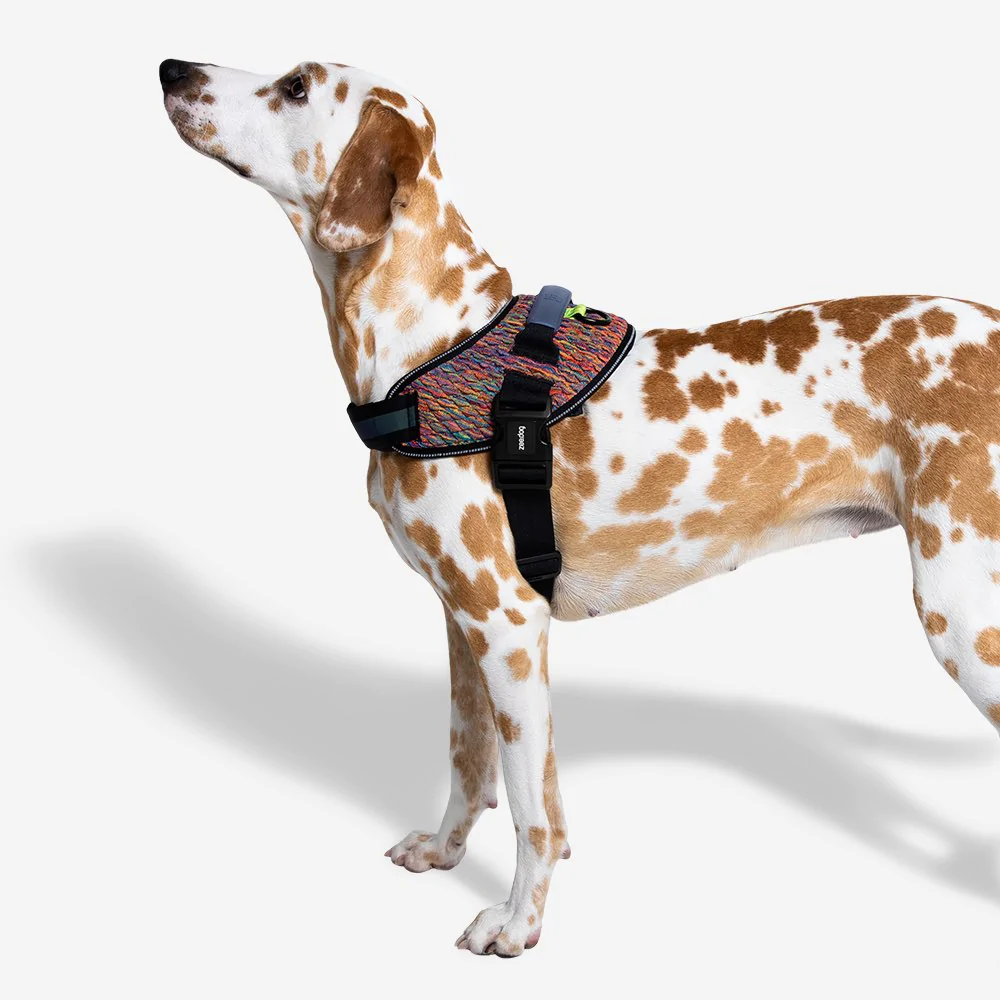 <strong>Zee.Dog</strong> Vortex FlyHarness Arnés Ultraligero para Perros - Imagen 3