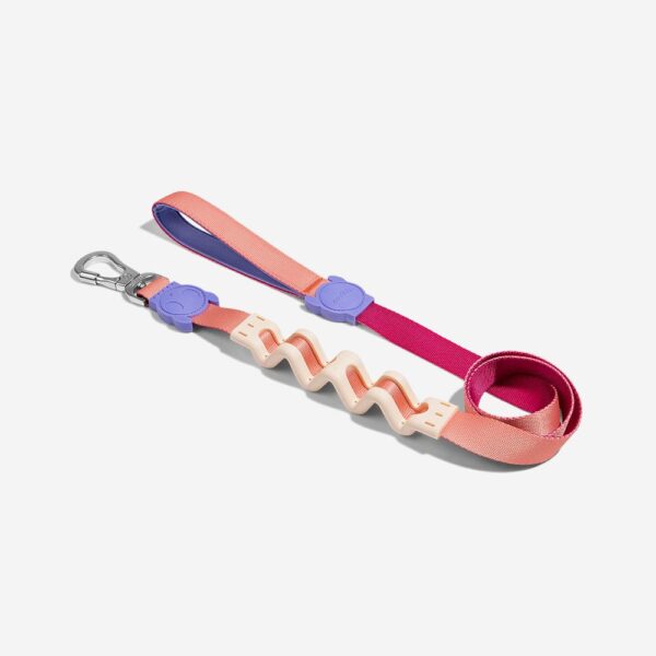 <strong>Zeedog</strong> Ruff Leash Cinnamon, Correa Anti-Tirones de Polyester Suave de Alta Resistencia para Perros, Tallas: S, L
