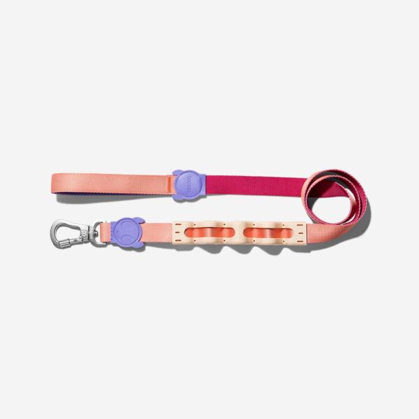 <strong>Zeedog</strong> Ruff Leash Cinnamon, Correa Anti-Tirones de Polyester Suave de Alta Resistencia para Perros, Tallas: S, L - Imagen 4