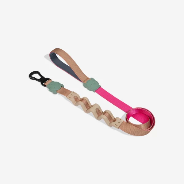 <strong>Zeedog</strong> Ruff Leash Yucca, Correa Anti-Tirones de Polyester Suave de Alta Resistencia para Perros, Tallas: S, L