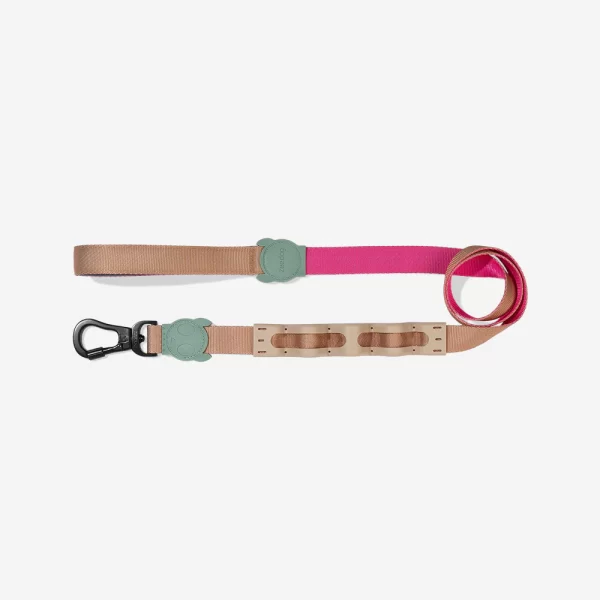 <strong>Zeedog</strong> Ruff Leash Yucca, Correa Anti-Tirones de Polyester Suave de Alta Resistencia para Perros, Tallas: S, L - Imagen 5