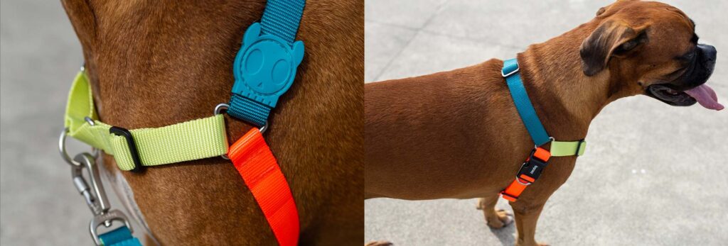 zeedog-soft-walk-harness-jumper-dk-carrossel-2_2048x2048