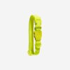 Zee.Dog Neopro Lime, Collar Ajustable Impermeable para Perros, Amarillo, Tallas XS a L