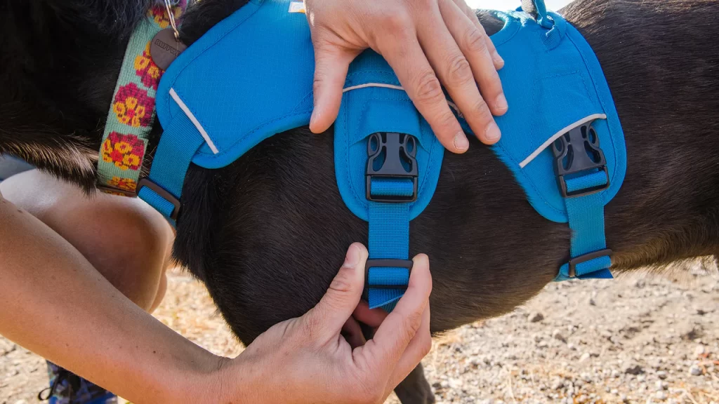 30102-Web-Master-Harness-Key-Features-Customizable-Fit-WEB_1280x720