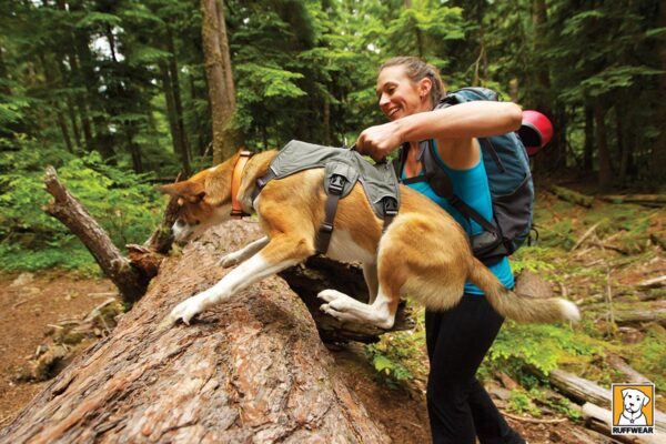 <strong>Ruffwear</strong> Web Master Twilight Gray Arnés de Soporte para Perros - Imagen 4