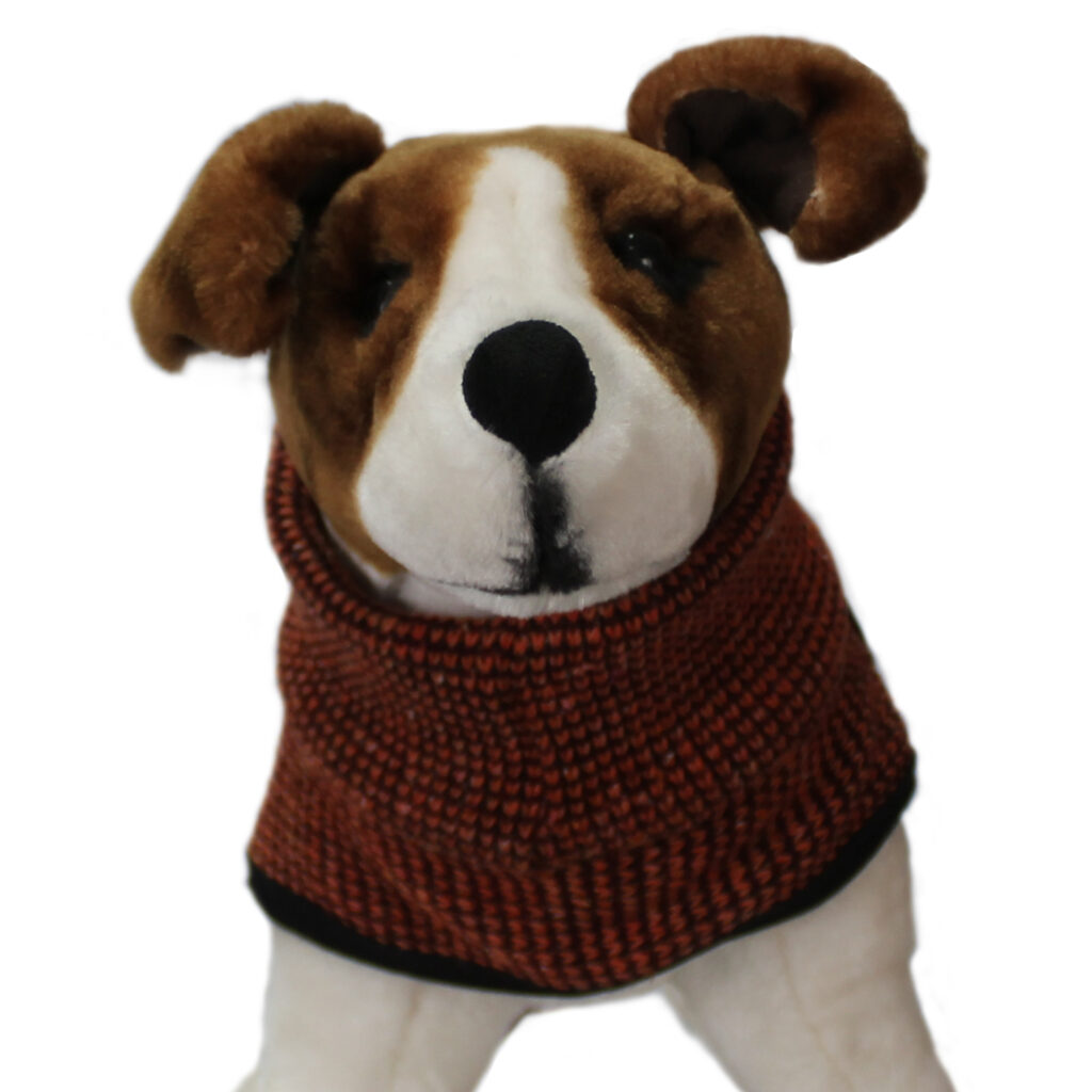 eco chaqueta amancay 2