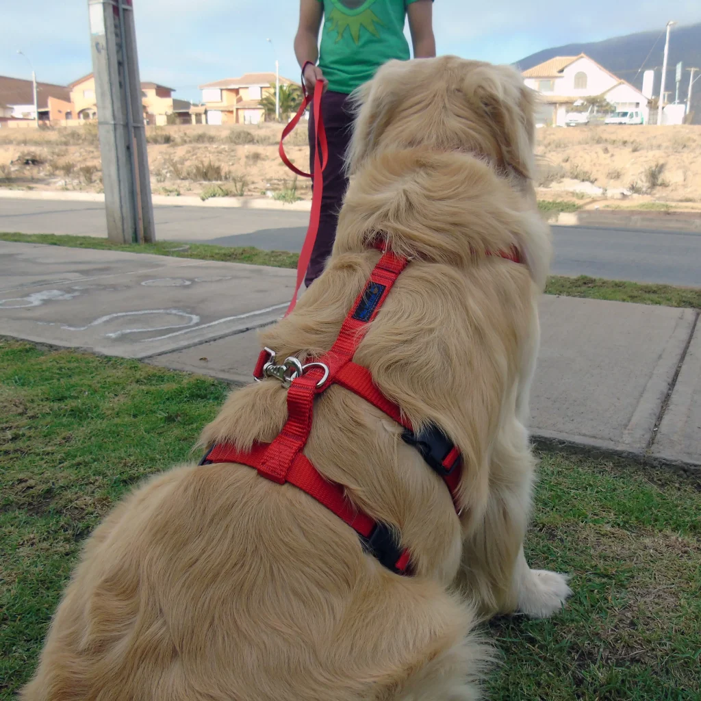 <strong>Más Perros</strong> Arnés Anti Escape Clásico Rojo