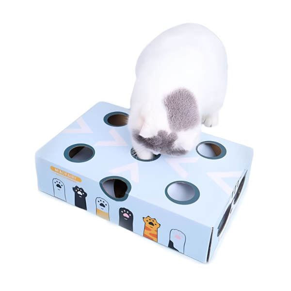 MP JUGUETE INTERACTIVO PARA GATOS CAJA CON BOLA - Imagen 2