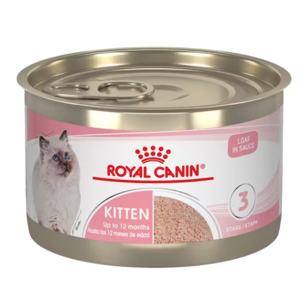 <strong>Royal Canin</strong> Kitten Third Age, Alimento Húmedo para Gatitos, Tercera Etapa de Crecimiento, Paté Mezcla de Carnes en Salsa, lata de 145 gr