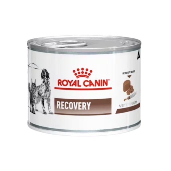 <strong>Royal Canin</strong> Recovery, Alimento Húmedo para perros y gatos que atraviesan períodos de recuperación, posoperatorios o tratamientos intensivos, lata 145 gr