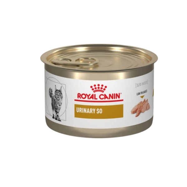 <strong>Royal Canin</strong> Urinary S/O Gato, Alimento Humedo para Gatos con Problemas Urinario, lata 145 gr