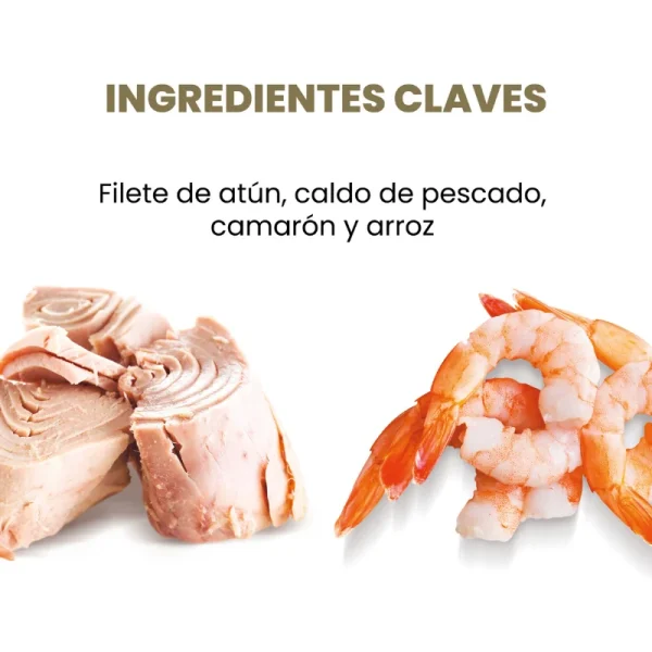 <strong>Applaws</strong> Cat Tin, Alimento Húmedo para Gatos, Filete de Atún con Camarón, lata de 70 gr - Imagen 3