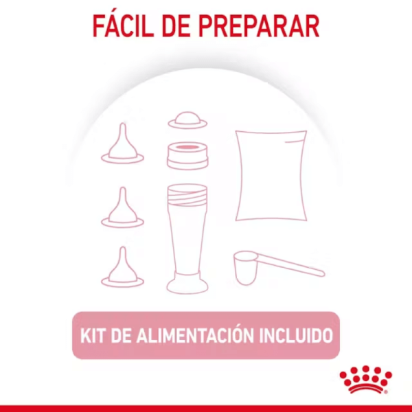 <strong>Royal Canin</strong> Baby Cat Milk, Alimento de Lactancia para Gatitos, 0 a 2 meses de edad, Envase de 300 gr - Imagen 7
