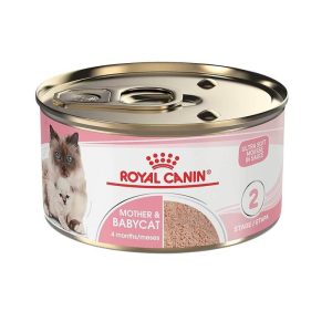 <strong>Royal Canin</strong> Mother & Babycat Second Age, Alimento Húmedo para Gatitos, Segunda Etapa de Crecimiento, Paté Mezcla de Carnes en Salsa, lata de 145 gr