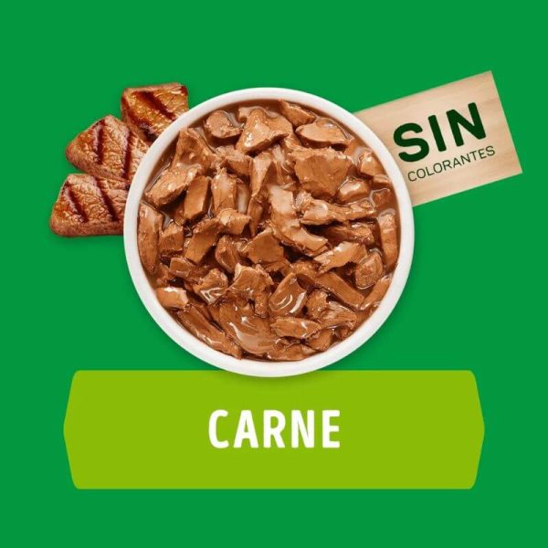 <strong>Purina Dog Chow</strong> Alimento Húmedo para Cachorros de Todos los Tamaños, con Carne, pouch de 100 gr - Imagen 3