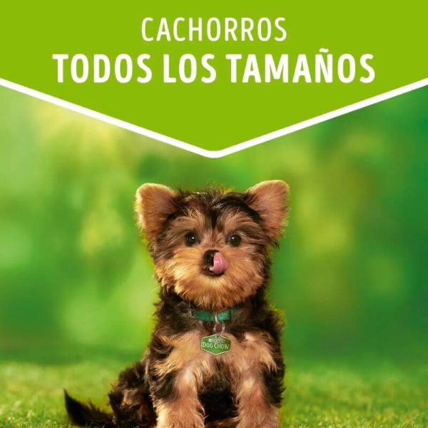 <strong>Purina Dog Chow</strong> Alimento Húmedo para Cachorros de Todos los Tamaños, con Carne, pouch de 100 gr - Imagen 2