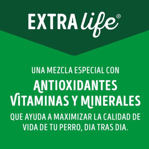 <strong>Purina Dog Chow</strong> Alimento Húmedo para Perros Adultos de Todos los Tamaños, con Carne, pouch de 100 gr - Imagen 6