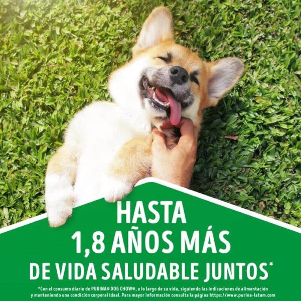 <strong>Purina Dog Chow</strong> Alimento Húmedo para Perros Adultos de Todos los Tamaños, con Carne, pouch de 100 gr - Imagen 8