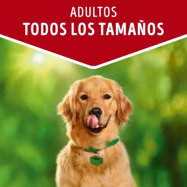 <strong>Purina Dog Chow</strong> Alimento Húmedo para Perros Adultos de Todos los Tamaños, con Carne, pouch de 100 gr - Imagen 3