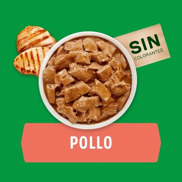 <strong>Purina Dog Chow</strong> Alimento Húmedo para Perros Adultos de Todos los Tamaños, con Pollo, pouch de 100 gr - Imagen 2