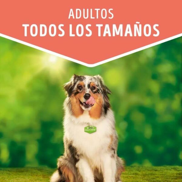<strong>Purina Dog Chow</strong> Alimento Húmedo para Perros Adultos de Todos los Tamaños, con Pollo, pouch de 100 gr - Imagen 3