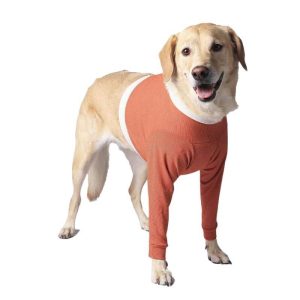 <strong>Kimba Vet</strong> Body de Cobre Protector Miembros Anteriores, para Perros y Gatos, Tecnología Antibacteriana, Talla 0 (0 a 1.5 kg)