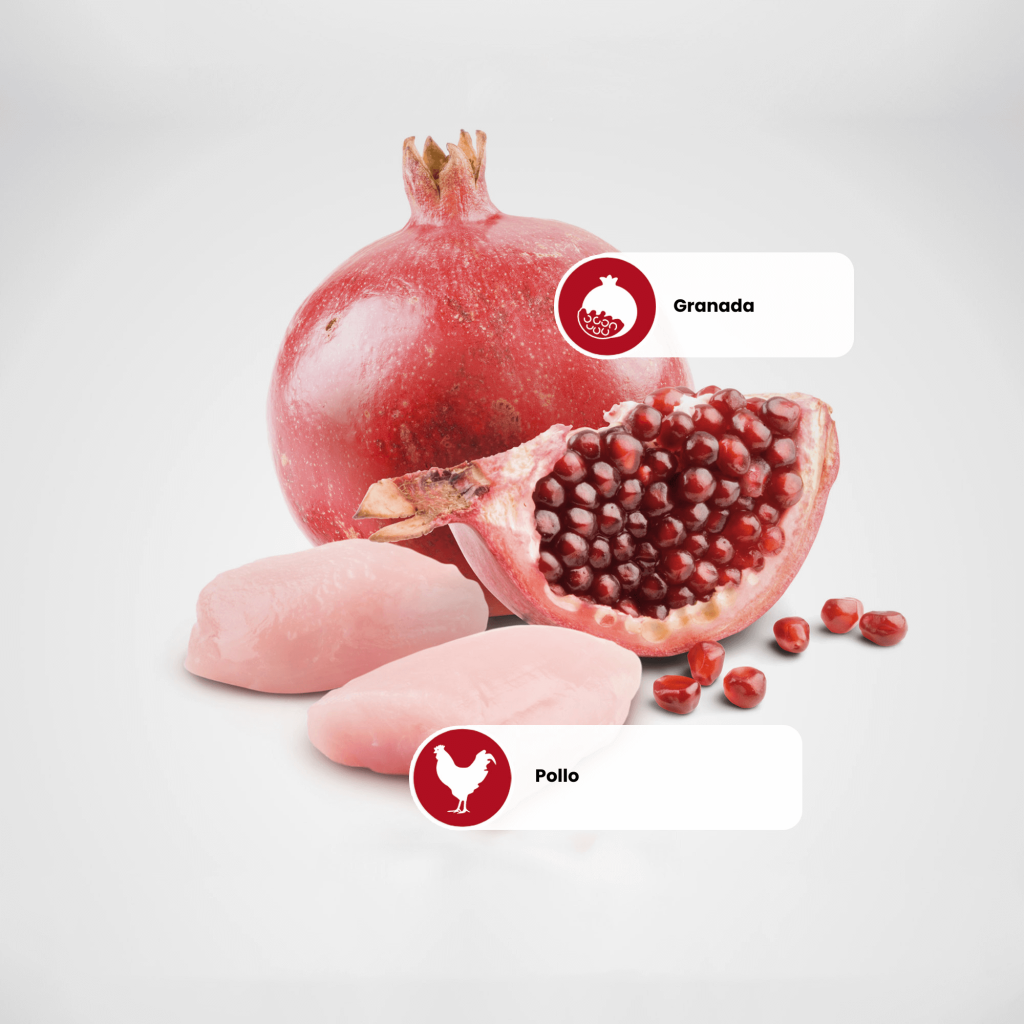 Protein Sources – Pomegranate-Chicken (1)