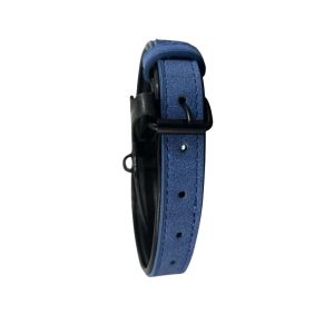 <strong>Wonder Dog</strong> Collar Eco Cuero para Mascotas, Color Azul, Medidas: 2×43 cm