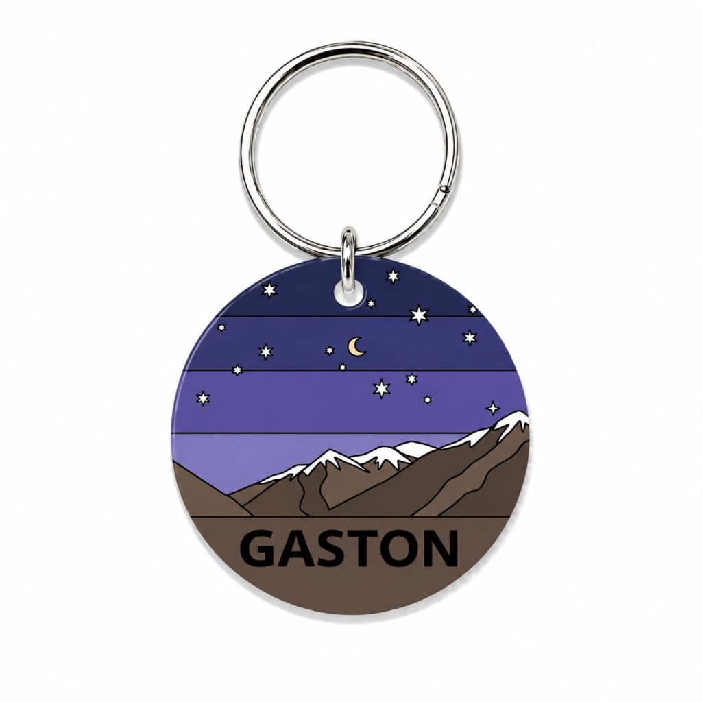 <strong>Guau!</strong> Placa Circular Personalizada Cuarta Región Talla S, Noche Estrellada
