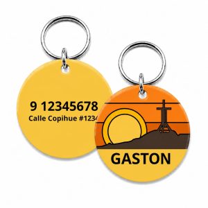 <strong>Guau!</strong> Placa Circular Personalizada Cuarta Región Talla S, Cruz del Tercer Milenio