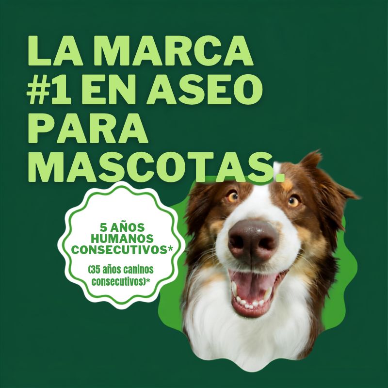 <strong>TropiClean</strong> Shampoo Control de Caída de Pelo, con Lima y Coco, para Perros y Gatos, envase de 591 ml - Imagen 3