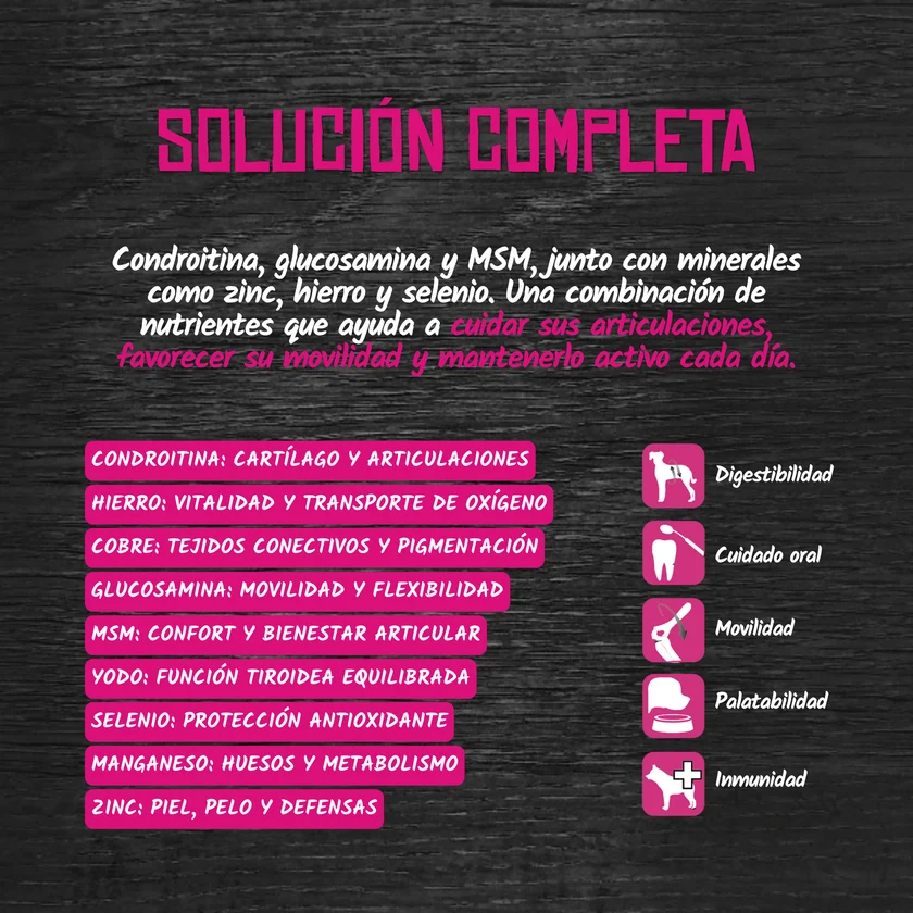<strong>Lenda</strong> Grain Free, Alimento Húmedo para Perros, Buey, Guisante y Papa, lata de 400 gr - Imagen 6